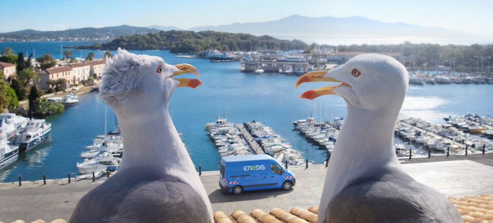 Enedis - Les Goélands #2